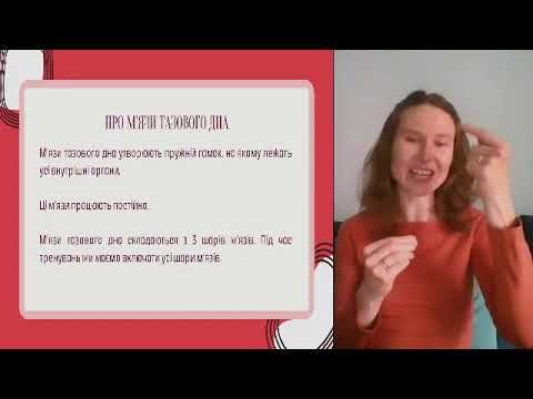 Лекція 2
